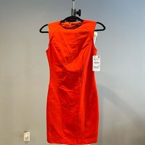 Zara Vibrant Orange Mini Dress